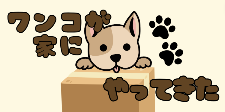 カワイイがいっぱい！ワンダーランド